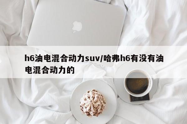 h6油电混合动力suv/哈弗h6有没有油电混合动力的