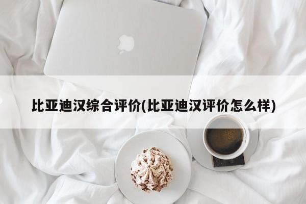 比亚迪汉综合评价(比亚迪汉评价怎么样)