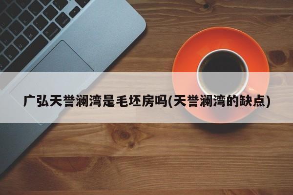广弘天誉澜湾是毛坯房吗(天誉澜湾的缺点)